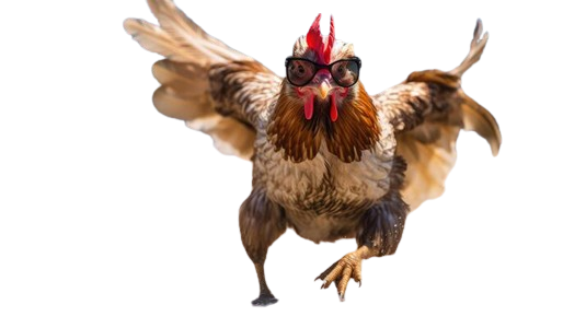 crazy rooster